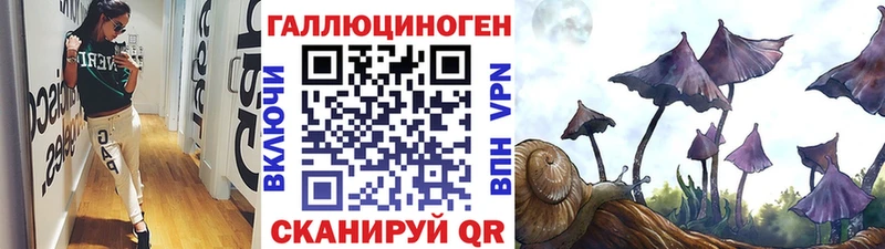 Купить  Коркино  Галлюциногенные грибы Psilocybine cubensis 